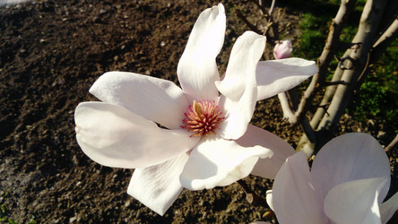 Similar image 21405676