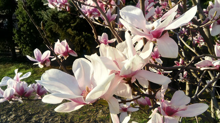 Similar image 21405768