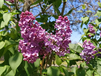 Similar image 21405769