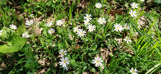 Similar image 21405849