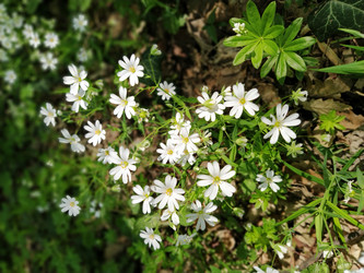 Similar image 21405851