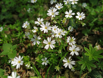 Similar image 21405944