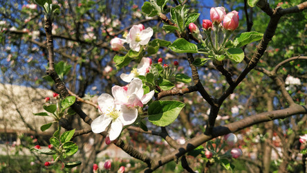 Similar image 21405947