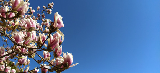 Similar image 21405949