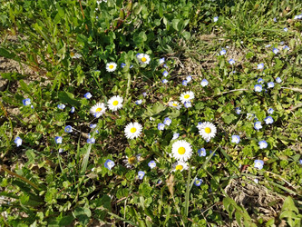 Similar image 21406045