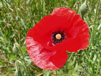 Similar image 21406046