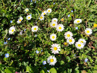 Similar image 21406048