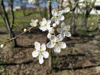 Similar image 21406050