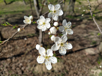 Similar image 21406051