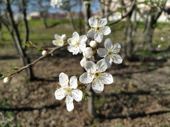 Similar image 21406204