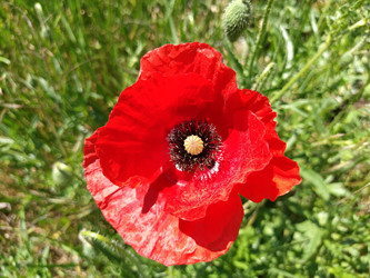 Similar image 21406206