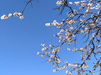 Similar image 21406207