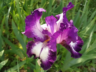 Similar image 21406208