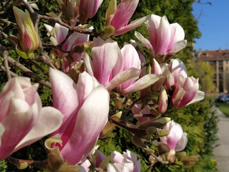 Similar image 21406209