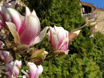 Similar image 21406213