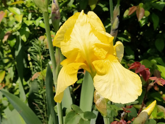 Similar image 21406214