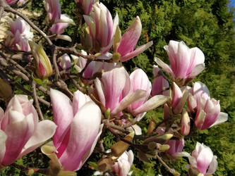 Similar image 21406215