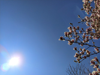 Similar image 21406218