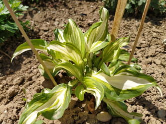 Similar image 21416258