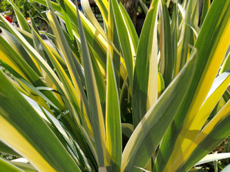 Similar image 21416259