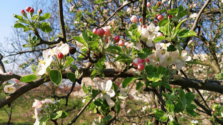 Similar image 21416436