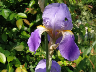 Similar image 21416726