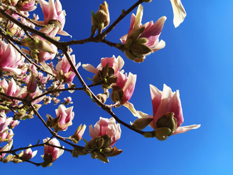 Similar image 21416728