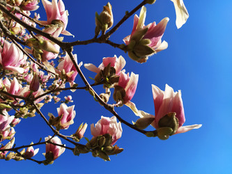 Similar image 21416729