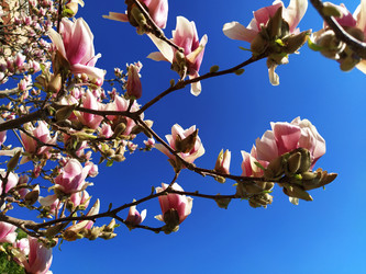 Similar image 21416732