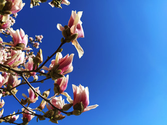 Similar image 21416734