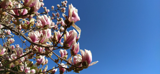 Similar image 21416736