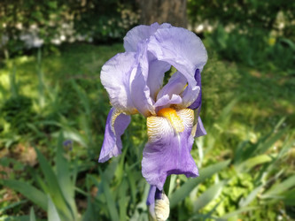 Similar image 21416737