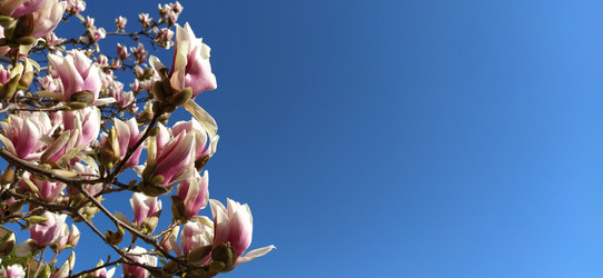 Similar image 21416738