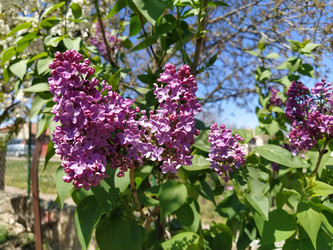 Similar image 21416739