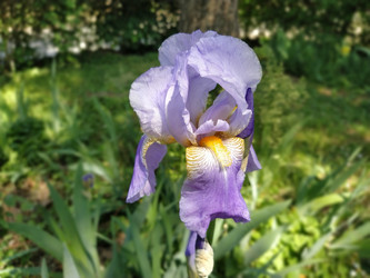 Similar image 21416740