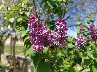 Similar image 21416741