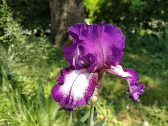 Similar image 21417179