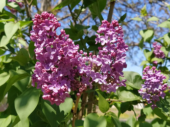 Similar image 21417180