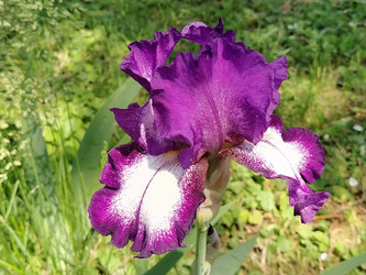 Similar image 21417181