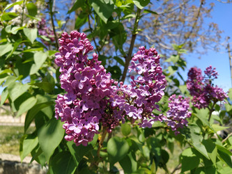 Similar image 21417182