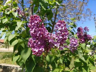 Similar image 21417183