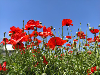 Similar image 21406055