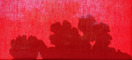 Similar image 21406057