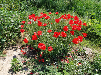 Similar image 21415406