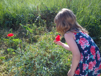 Similar image 21415415