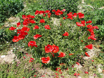 Similar image 21415418