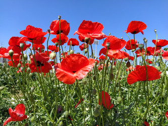 Similar image 21415421