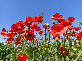 Similar image 21416266