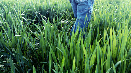 Similar image 21416745