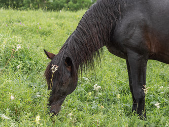 Similar image 21388483